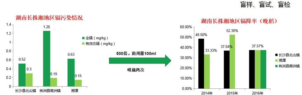 镉无忧叶面阻控剂